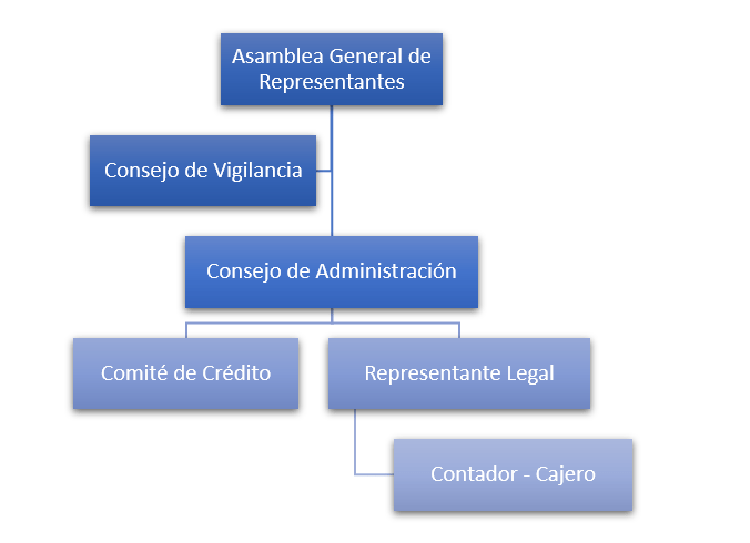 organigrama